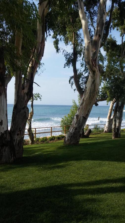 Bahia De La Plata Seafront Apartment Estepona Exterior photo